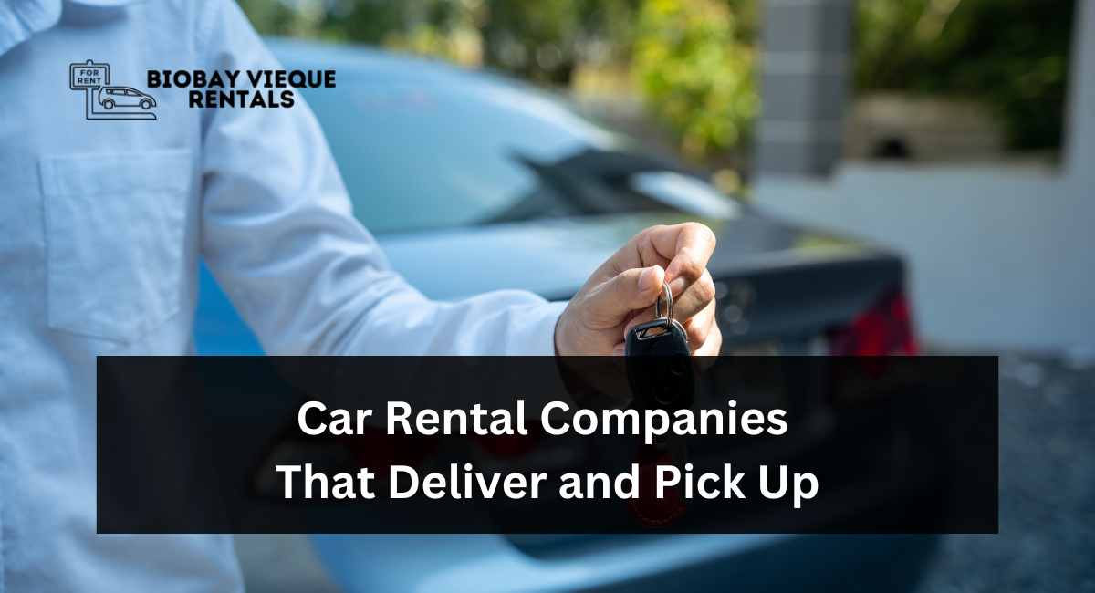 Car Rental Companies That Deliver and Pick Up