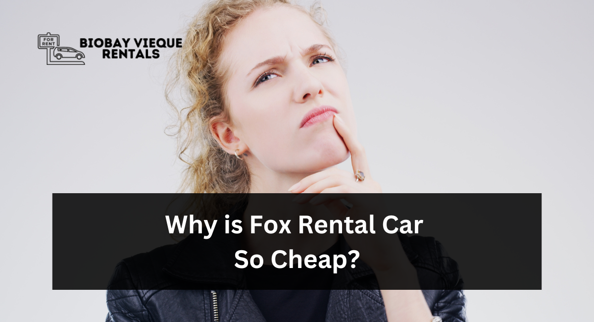 Why is Fox Rental Car So Cheap?